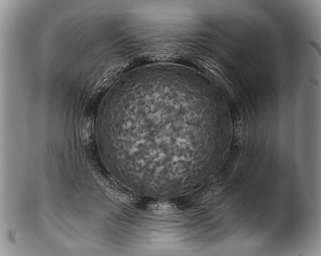 X0000101120503200806261439