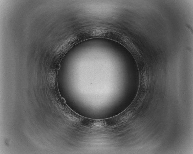 X0000101120505200806261439