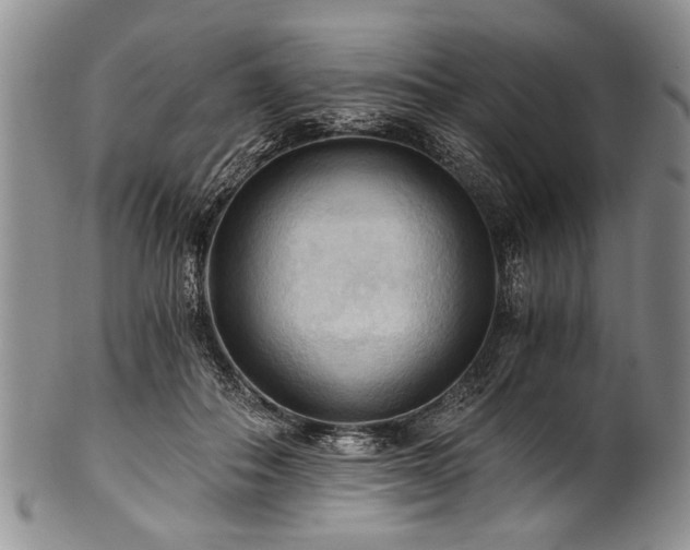 X0000101120506200806261439
