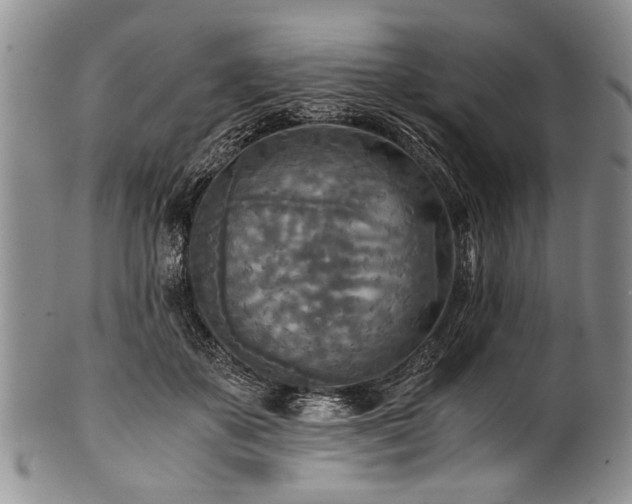 X0000101120507200806261439