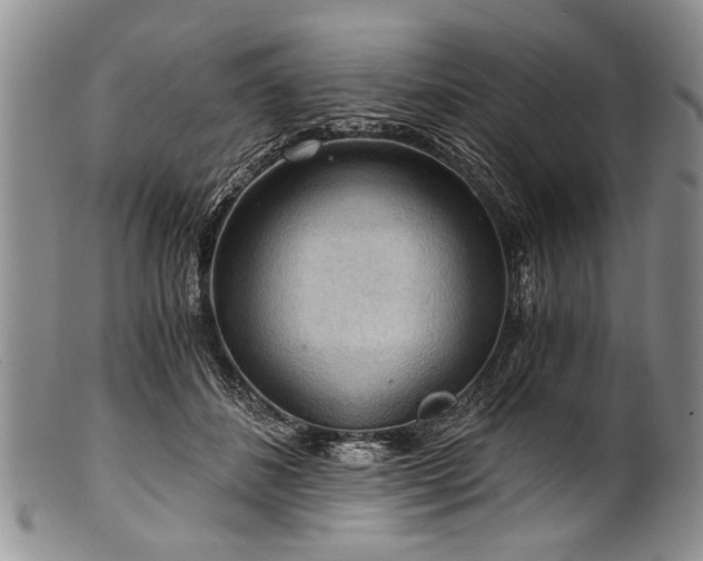 X0000101120508200806261439