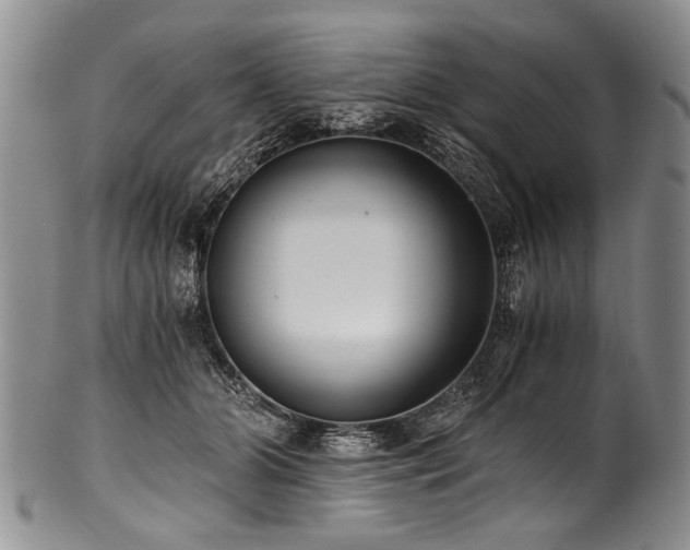 X0000101120510200806261439