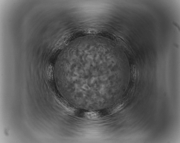 X0000101120511200806261439