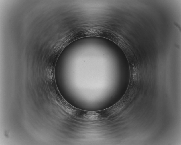 X0000101120514200806261439