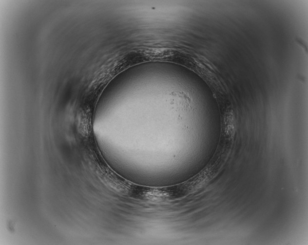 X0000101120515200806261439