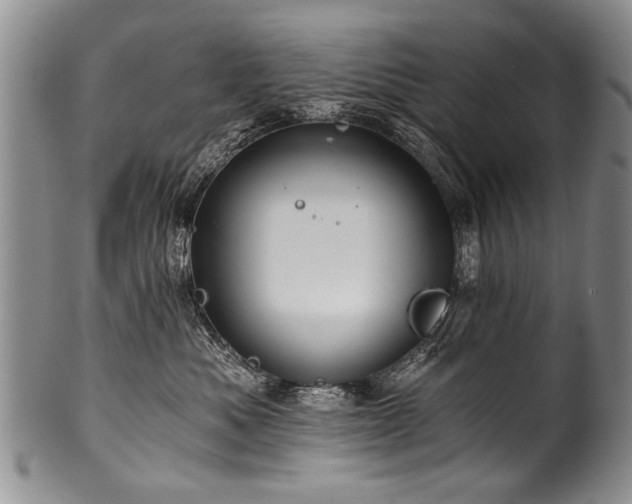X0000101120525200806261439