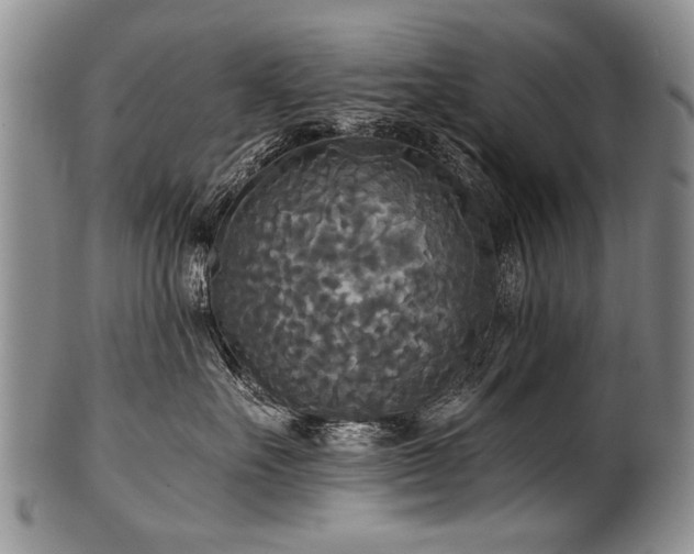 X0000101120527200806261439