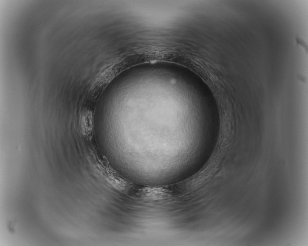 X0000101120528200806261439