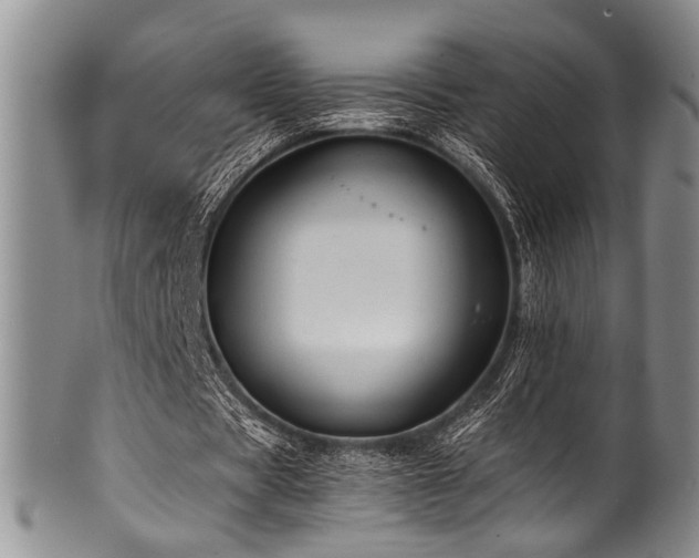 X0000101120529200806261438