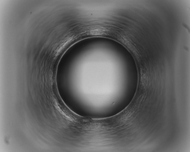 X0000101120530200806261438
