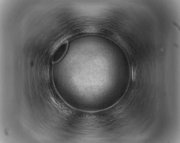 X0000101120531200806261438