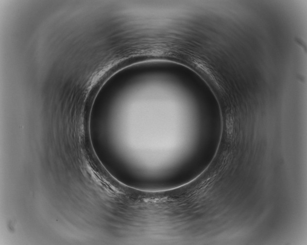 X0000101120532200806261438