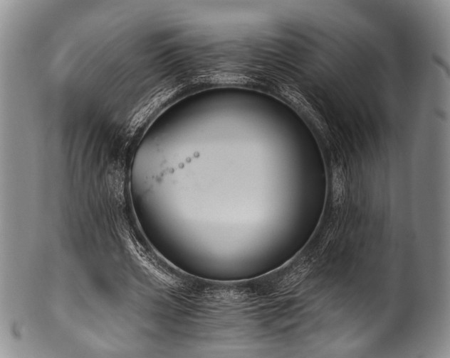 X0000101120533200806261438