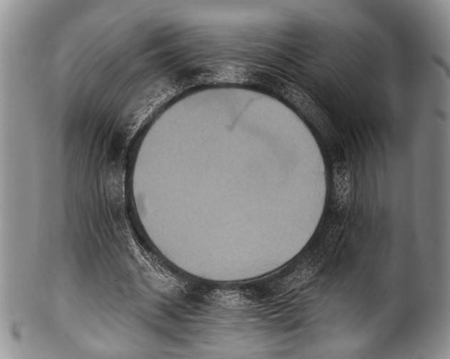 X0000101120534200806261438