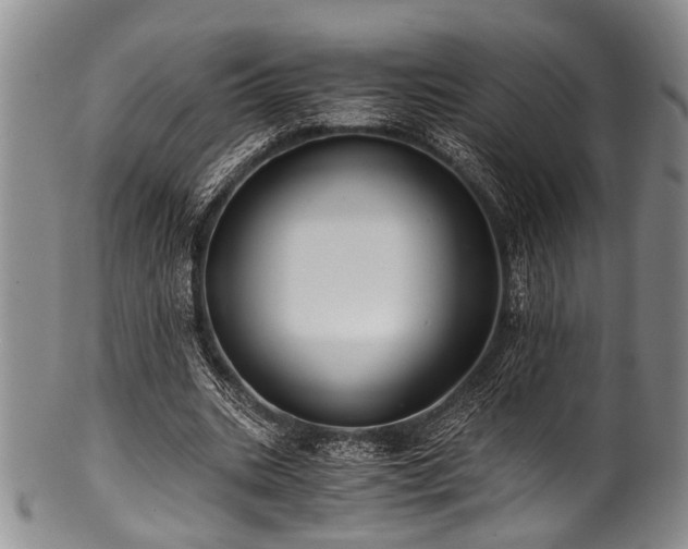 X0000101120535200806261438