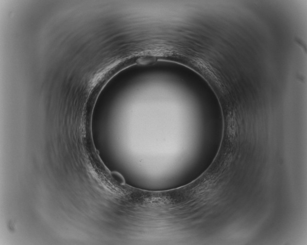 X0000101120536200806261438