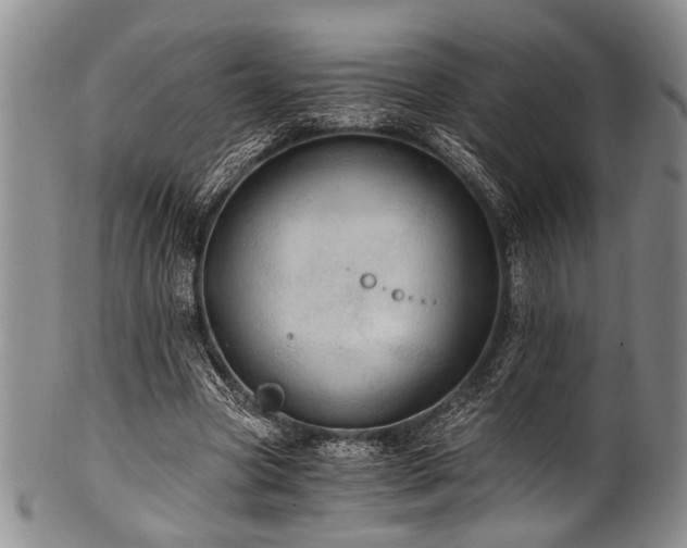 X0000101120537200806261438