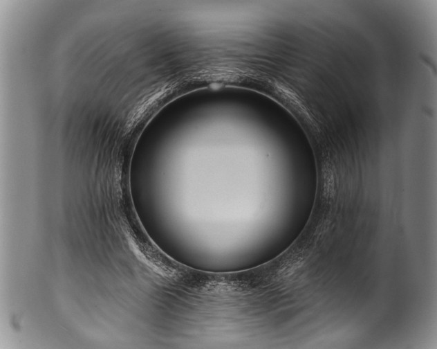 X0000101120538200806261439
