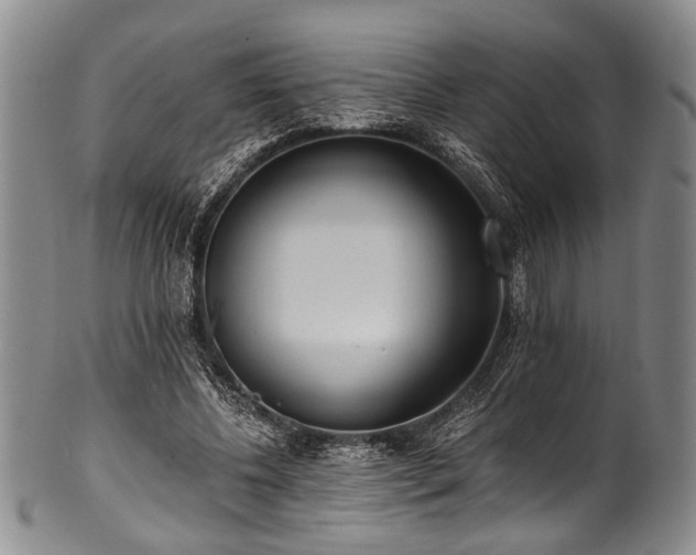 X0000101120540200806261439