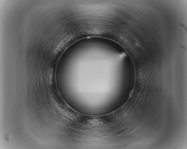 X0000101120544200806261439