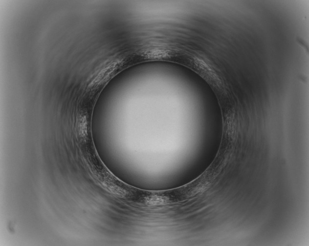 X0000101120549200806261439