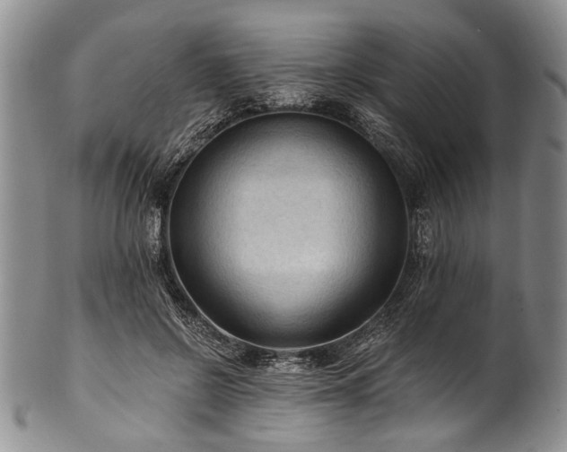 X0000101120550200806261439