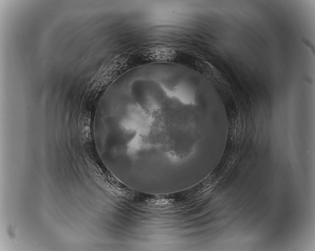 X0000101120553200806261439