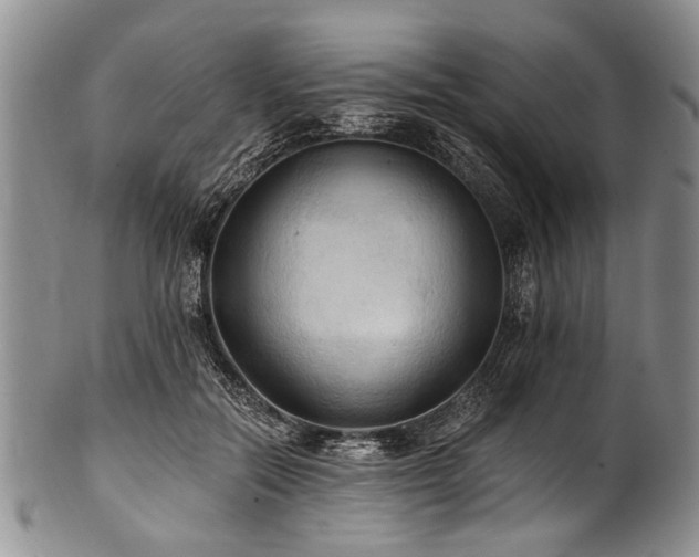X0000101120554200806261439