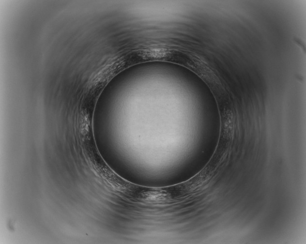 X0000101120555200806261439