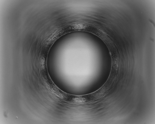 X0000101120556200806261439