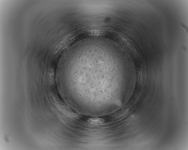 X0000101120557200806261439