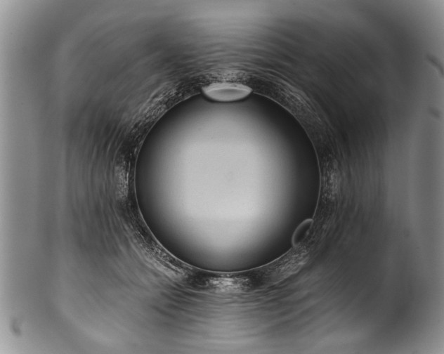X0000101120558200806261439
