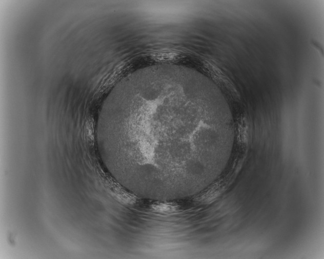 X0000101120561200806261439