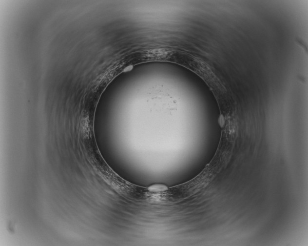 X0000101120564200806261439