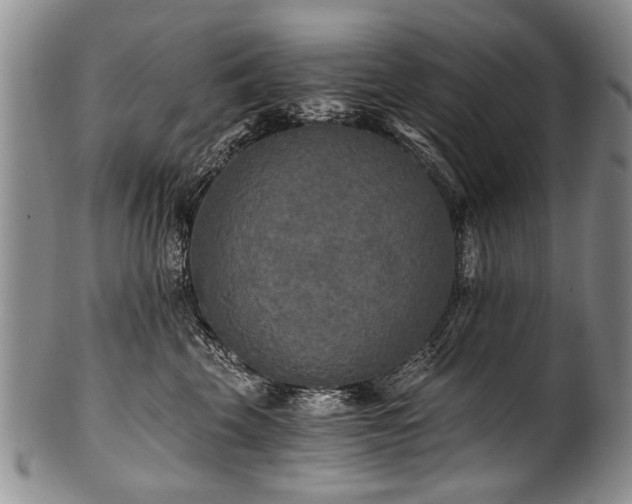 X0000101120569200806261439