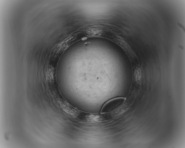 X0000101120570200806261439