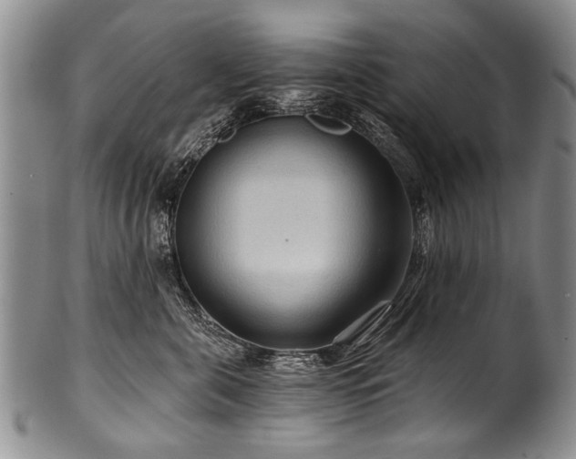 X0000101120571200806261439