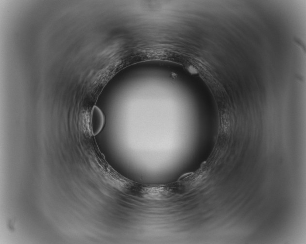 X0000101120575200806261439