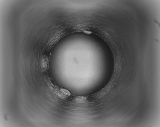 X0000101120576200806261439