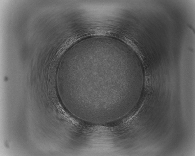 X0000101120577200806261438