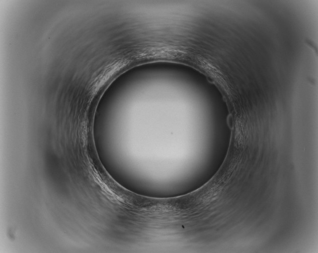 X0000101120578200806261438