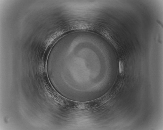 X0000101120579200806261438