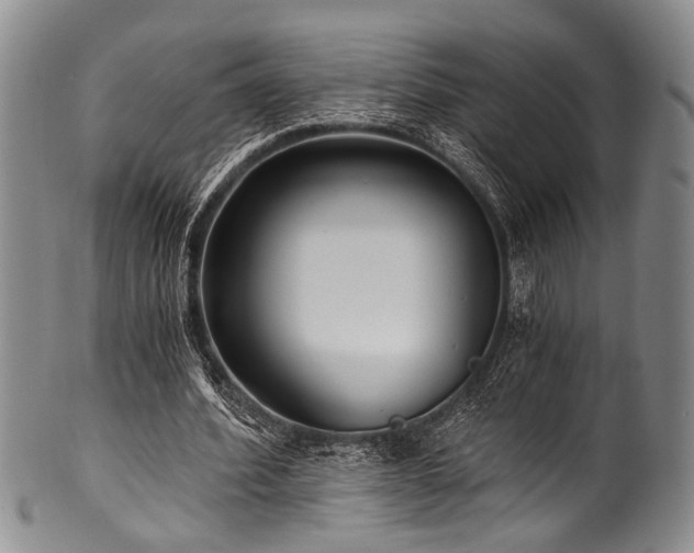 X0000101120580200806261438