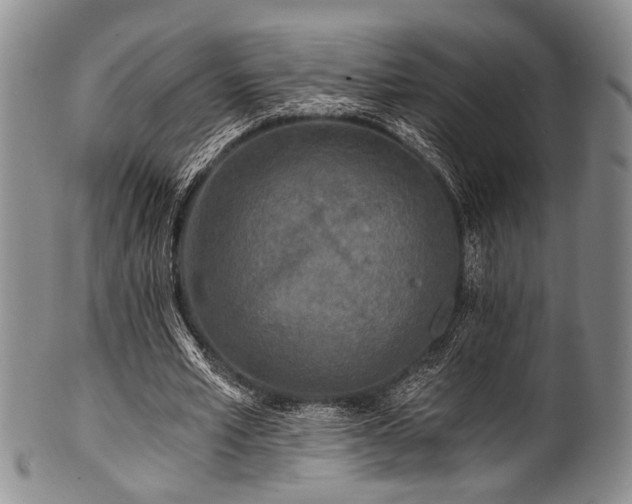 X0000101120581200806261438