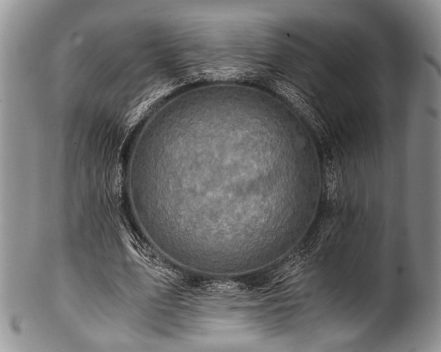 X0000101120583200806261438