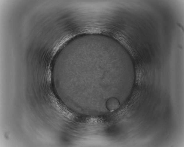 X0000101120584200806261438