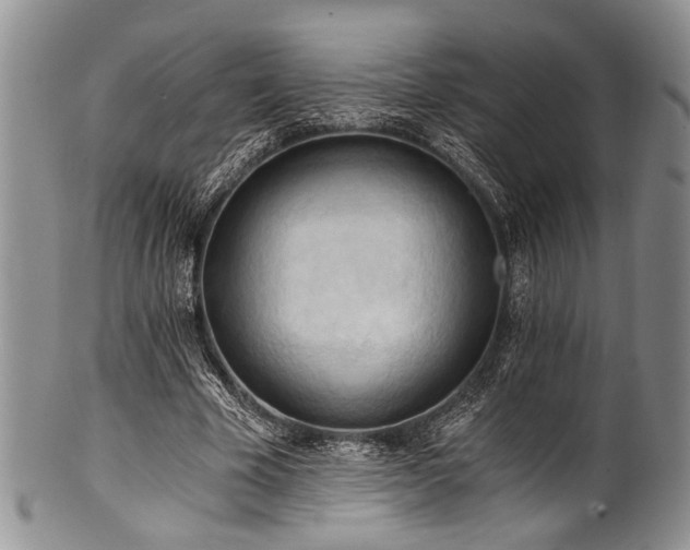 X0000101120585200806261438