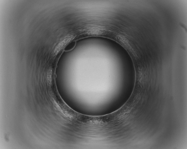X0000101120586200806261438