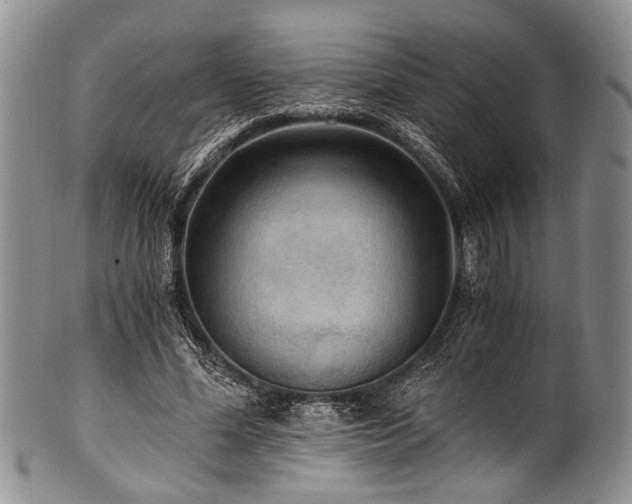 X0000101120588200806261438
