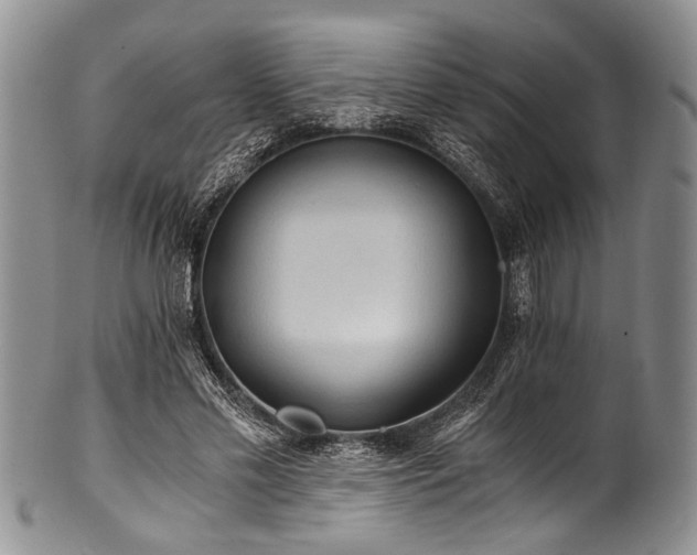 X0000101120589200806261438